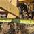 Disc Harrow Plow- 3 point Tractor Heavy Duty 7 thumbnail
