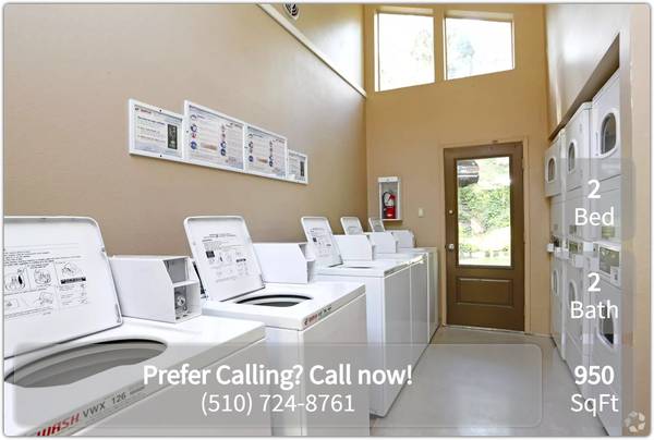 Amplify your life: 2 BR, 2 BA, and tons of space! 1