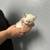 Sweet little kittens 1 thumbnail