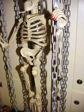 VTG Gemmy Skeleton Colgante Animado en Jaula con Movimiento y Sonido de Grito - $95 (SE Salem)63435574754049121