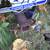 1996 Chevy S10 Blazer LS 4x4 Parts or Repair 8 thumbnail