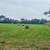 3rd cutting round bales 2 thumbnail