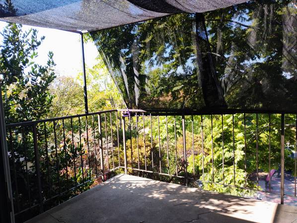 $1,550 / 1br - Must-See 1BR Oasis: Garden Setting, Quiet & Green (Sutter Creek)63952107928323124