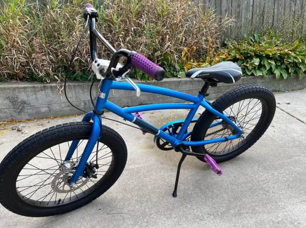 Electra Moto Kids Bike 1
