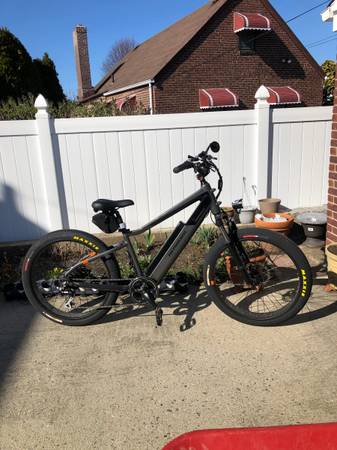 Rad Rover E / Bike 1