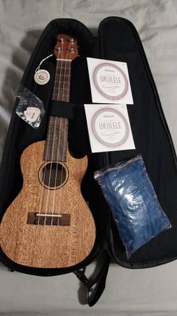 Concert Ukulele 1