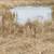 about 18 acres of partially wooded land 8 thumbnail