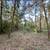 🇺🇸 0.4 Acres In Beautiful Interlachen! ✅✅ 1 thumbnail