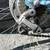 Schwinn Le Tour Bicycle - 1975 6 thumbnail