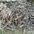 free firewood 1 thumbnail