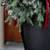 🪴 AMAZING "CHRISTMAS IN JULY" FRONT DOOR/ PORCH PLANTERS $70 3 thumbnail