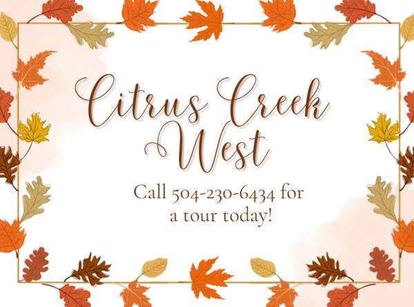 $1,290 / 1br - 899ft2 - 🤎Fall in Love with Citrus Creek West🤎 (5323 Citrus Blvd.)63903539046531120