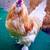 Silky and Bantam Roosters 1 thumbnail