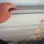 PARIS giant PICTURE Framed Wall ART Vilshult Eiffel Tower IKEA 2 thumbnail