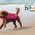 Outward Hound Dog Life Vest Size Small 1 thumbnail