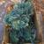 curb alert! Free 6ft electric christmas tree with flocking and stand 2 thumbnail