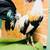 Gallos, Roosters, gamefowl 1 thumbnail
