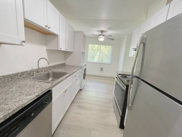 $1,725 / 3br - 800ft2 - ¡Obtén $300 de descuento! Electrodomésticos de acero inoxidable y lavandería en la unidad! (Aloha)63841709376387124