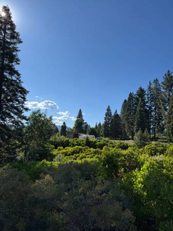 $89,000 / 96067ft2 - Corner lot 2.5a Mountain View (mount shasta)63678184777217123