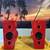 2 way loudspeaker with unique design & finish 1 thumbnail