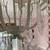 Pink Crystal Chandelier Shabby Chic  Large size 5 bulbs 16 thumbnail