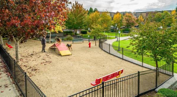 $1,601 / 633ft2 - Ceiling Fan in Bedrooms, Bike Racks/Storage, Walk-In Closet (1299 NE Orenco Station Pkwy. Hillsboro Oregon 97124)64039055658113120