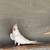 Cockatiels 4 thumbnail