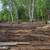 Bobcat Services ~ Drainage, Grading, Demo, Clearing & Boulder Walls 9 thumbnail