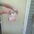 Organic Butchering Chickens 2 thumbnail
