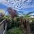 Russian Hill-Stunning Views!Gorgeuou Yard-Beautiful FLAT! 15 thumbnail