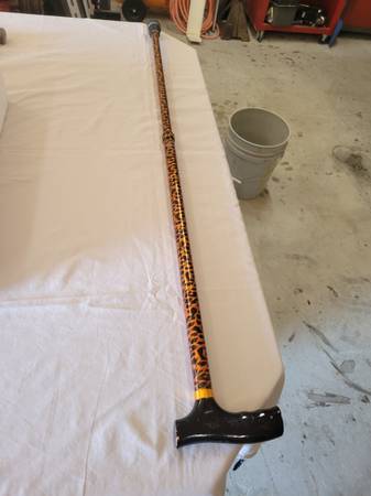 Cane/Walking Stick 1