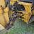 1999 New Holland Backhoe 19 thumbnail