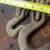 Tow chain 25' 1/2" links one grab hook one slide hook exc condition 3 thumbnail