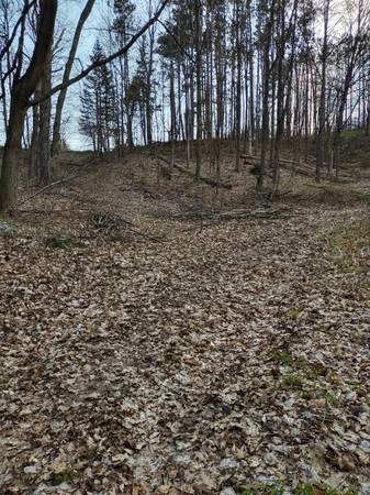 $82,400 Building site (Ludington)64037896908419121