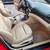 2005 BMW 325i (Salvage Title) 9 thumbnail