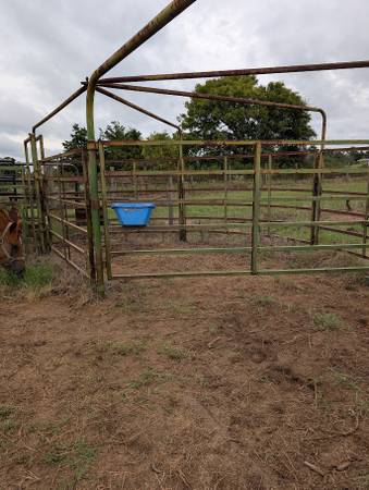 Cattle Handling System 1