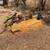 Antique tractors 16 thumbnail