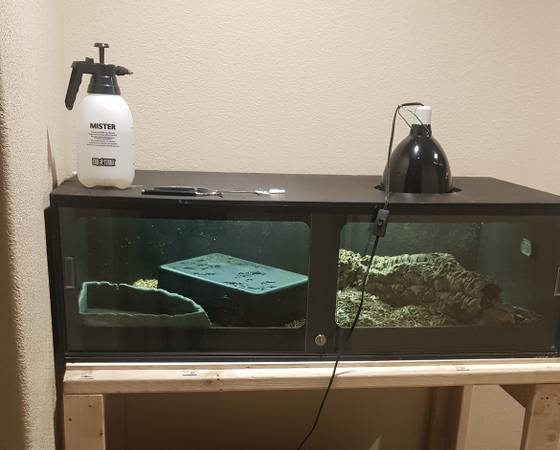 4x2x2 reptile tanks 1