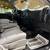 2018 Chevy Silverado Single Cab Long Box 10 thumbnail