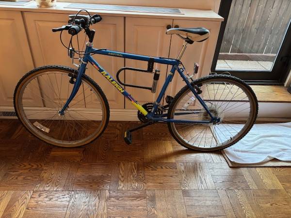 Raleigh Mistral 1