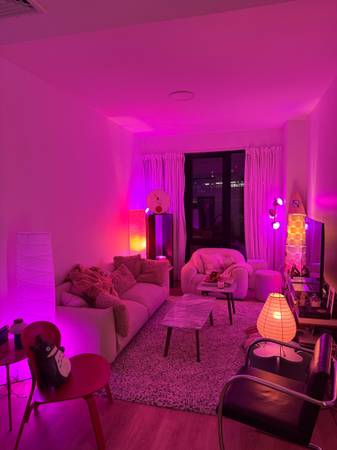 $3,200 / 1br - Luxury 1BR Sublease - Bushwick High-Rise - $3,200 ALL IN Oct-March 26 (Bushwick)63854482095235120