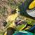 John Deere 420 Lawn Garden Tractor 5 thumbnail