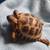 Juvenille Russian Tortoise 3 thumbnail