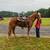 Gentle Riding Gelding 1 thumbnail
