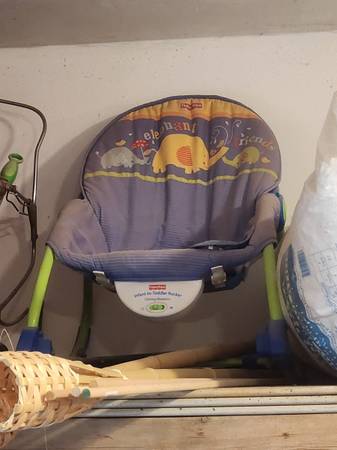 Fischer-Price Infant-to-Toddler Rocker 1