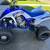2017 Yamaha Raptor 700R 1 thumbnail