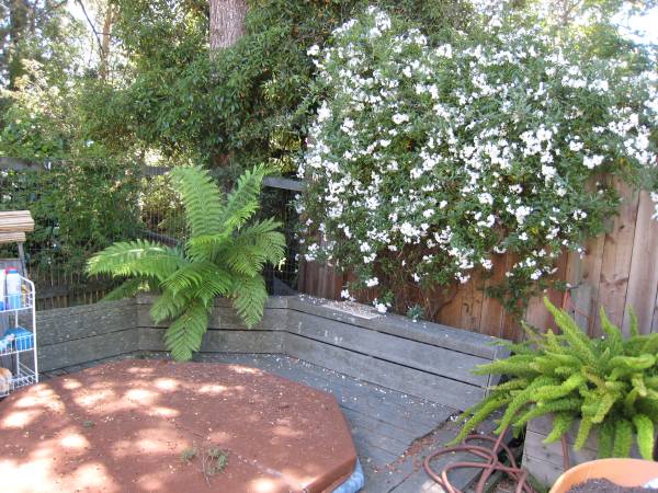 $1,600 Private bedroom in shared home (berkeley north / hills)64045196486274124