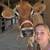 Jersey Cow 1 thumbnail