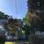 Tree removal   trimming  Tree care  Tree service 24 thumbnail