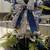 🎍EXQUISITE "REGAL" WINTER CARRIAGE RIDE CENTER PIECE $50 1 thumbnail